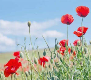 《游戏乐园》五一黄金周特别活动